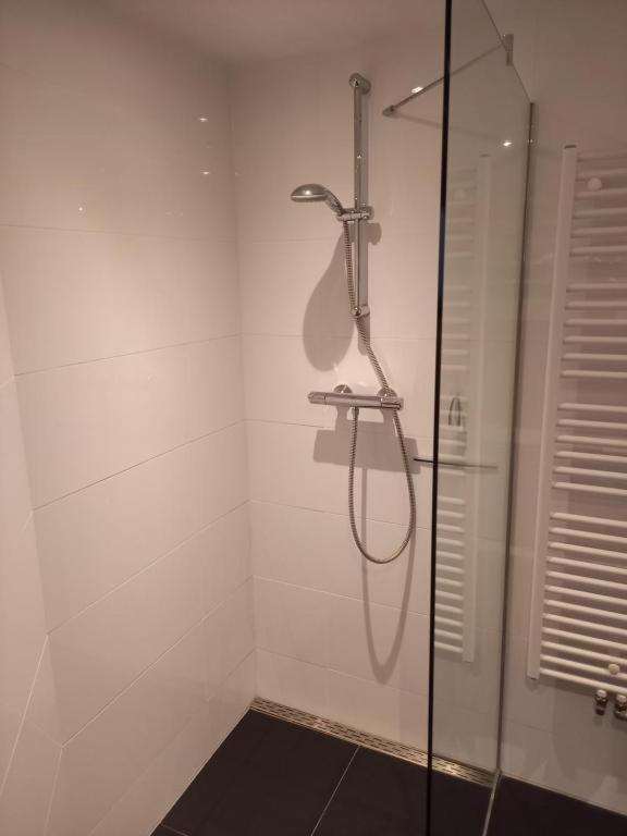Zeevonk Studio's & Appartement